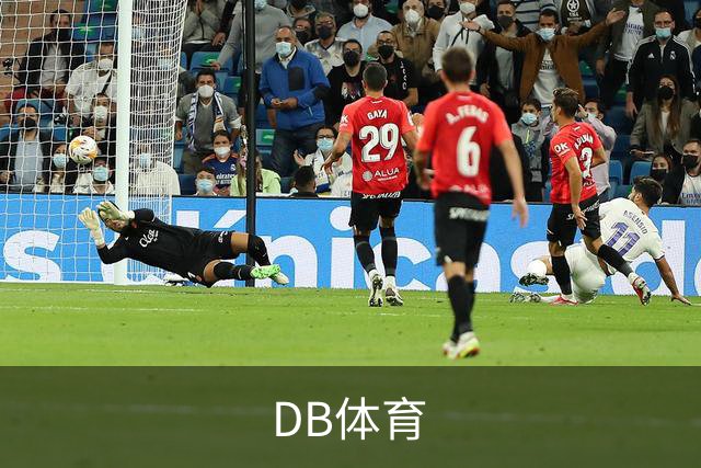 DB体育公司简介